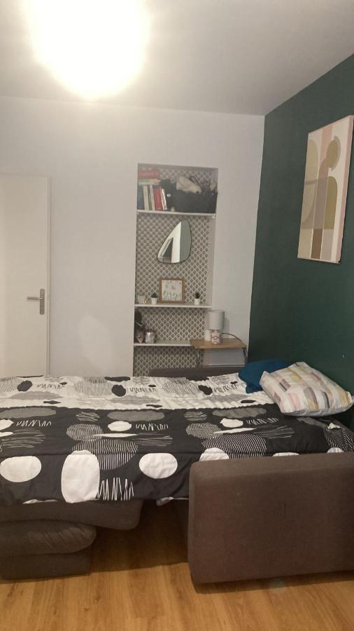 Chambre En Appartement Haussmannien En Centre Ville Saint-Etienne  Dış mekan fotoğraf